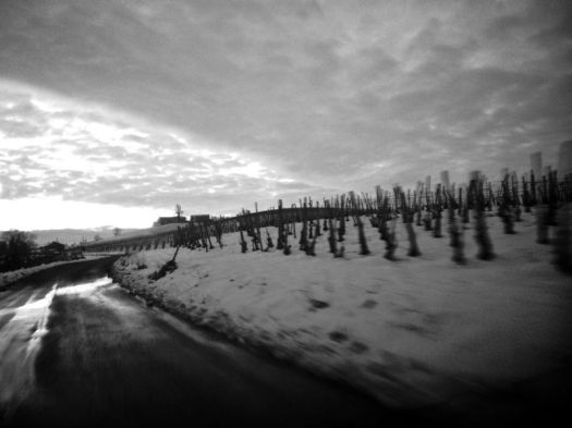 strade_claudio_delmonte